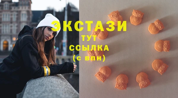 шишки Беломорск