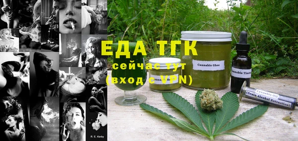 гашик Белокуриха