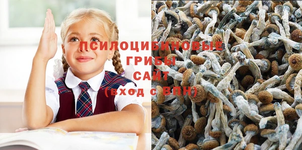 шишки Беломорск