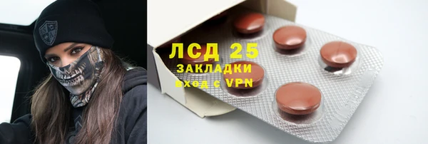 шишки Беломорск