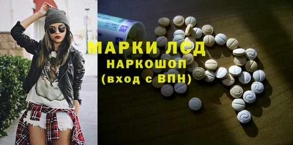 шишки Беломорск