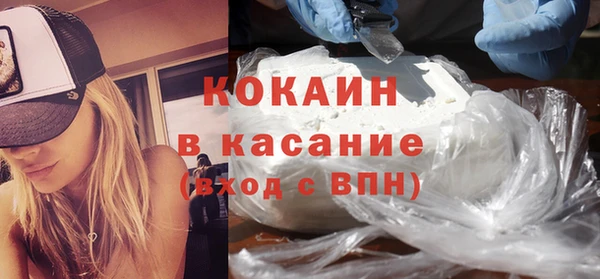 шишки Беломорск