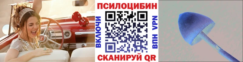 Галлюциногенные грибы Psilocybe  Купить  Гай 